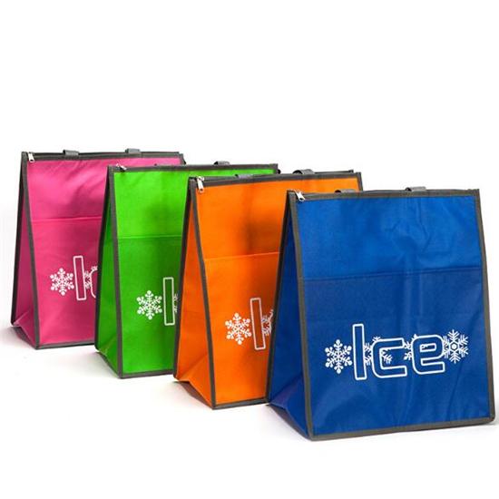 Cooler bag with tote